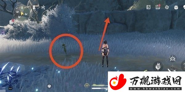 鸣潮傲寒钟采集路线图傲寒钟哪里多第1页