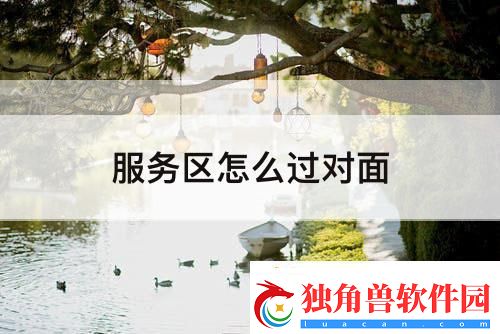 服务区怎么过对面