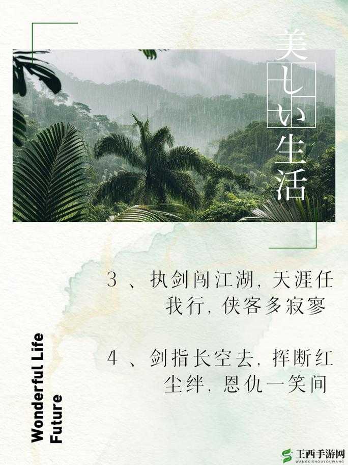 烟雨江湖：剑影江湖路，秘籍何处寻