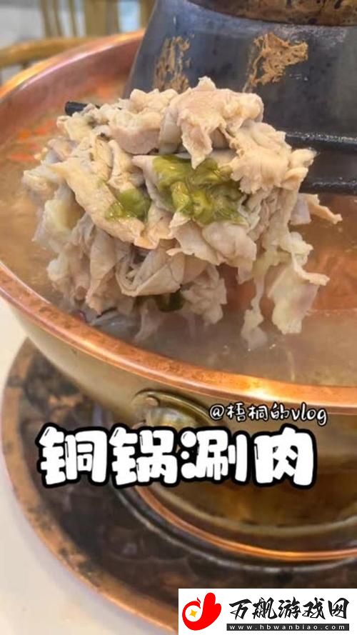锅锅酱vlog在线观看