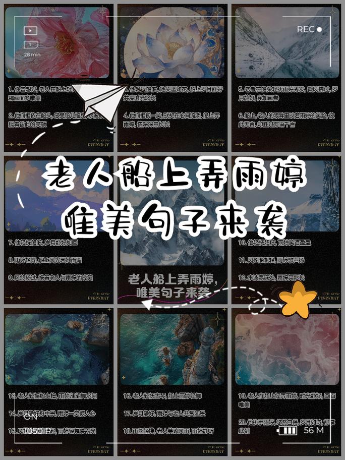 老人船上弄雨婷最经典的一句，网友直言：真是太有哲理了！