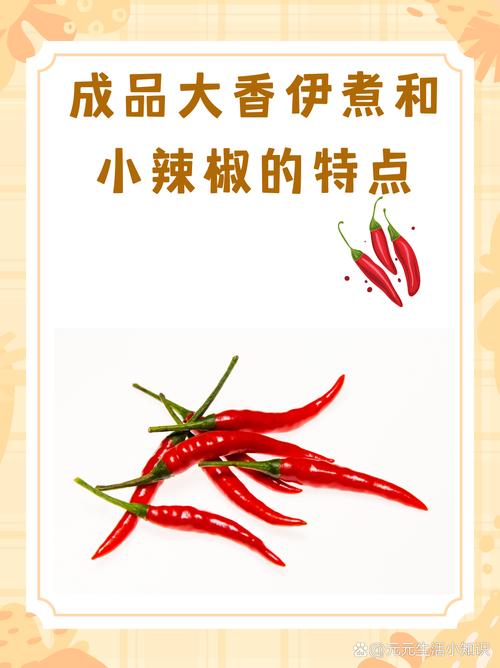 成品大香伊煮和小辣椒的特点：独特风味与健康理念的完美结合
