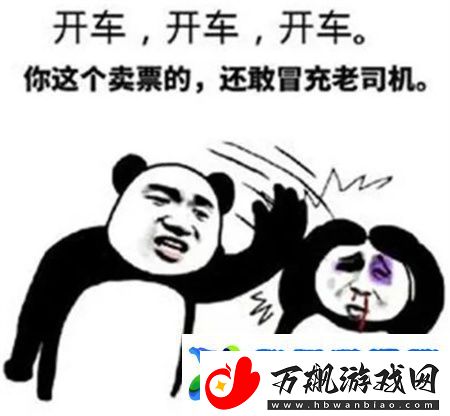 老司机开车必备表情包大全2024最新