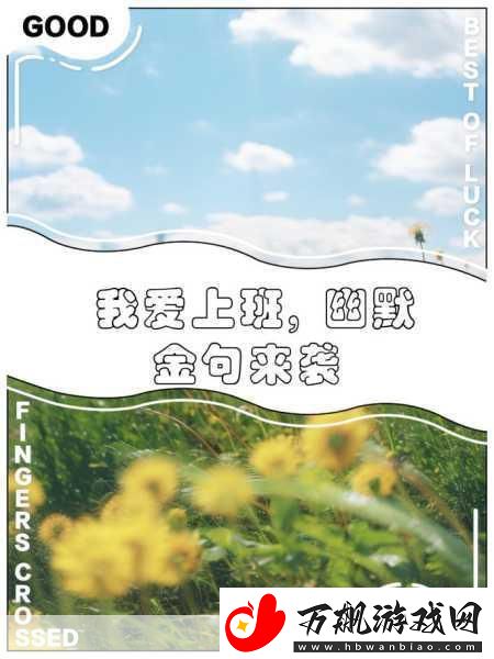 我爱上班手游来袭-解锁你的趣味休闲新体验！