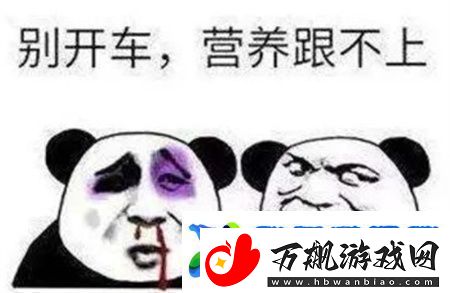老司机开车必备表情包大全2024最新