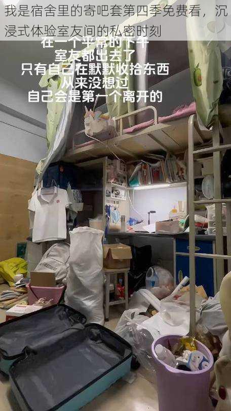 我是宿舍里的寄吧套第四季免费看,沉浸式体验室友间的私密时刻