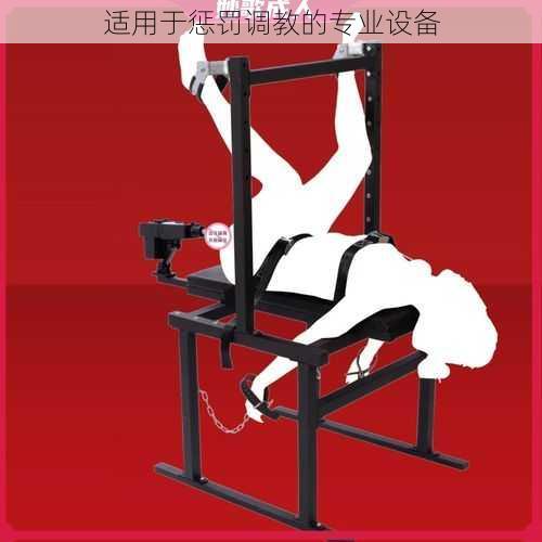 适用于惩罚**的专业设备