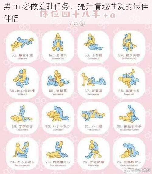 男 m 必做羞耻任务，提升情趣性爱的最佳伴侣
