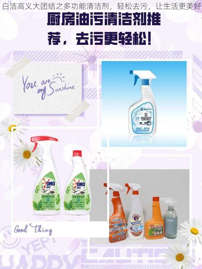 白洁高义大团结之多功能清洁剂,轻松去污,让生活更美好