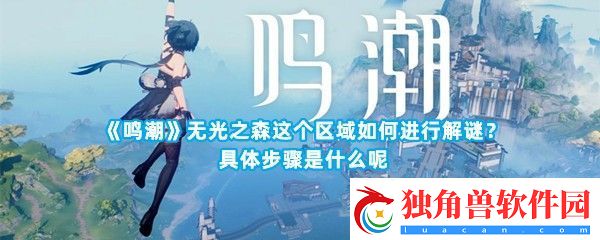 鸣潮无光之森这个区域怎么解谜具体的解谜步骤是什么-鸣潮无光之森解谜攻略介绍一览