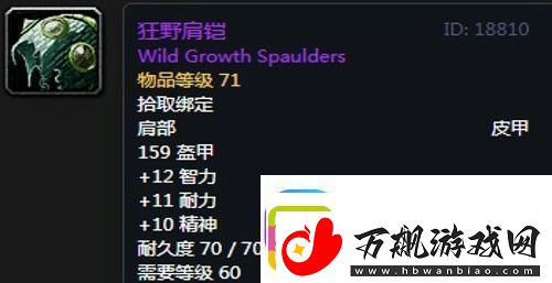 魔兽世界怀旧服黑翼之巢骑士毕业装备掉落一览