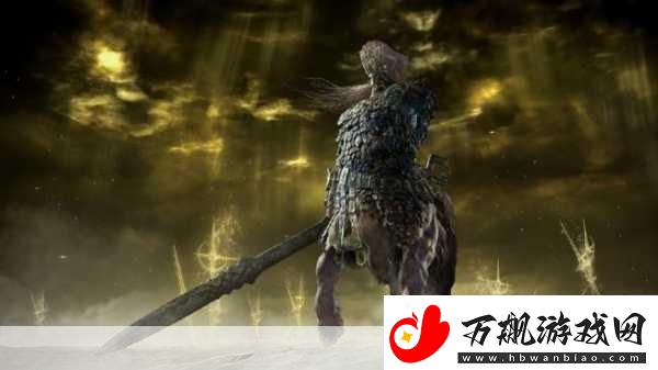 艾尔登法环-黑夜君临独闯奇幻世界-双人模式缺席引热议