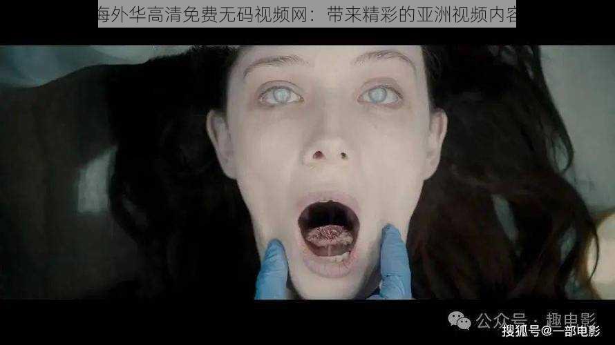 海外华高清免费无码视频网：带来精彩的亚洲视频内容