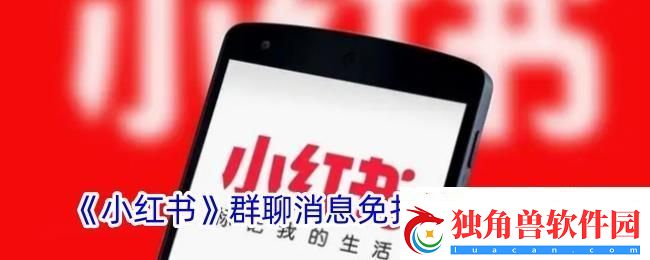 小红书怎么设置群聊免打扰