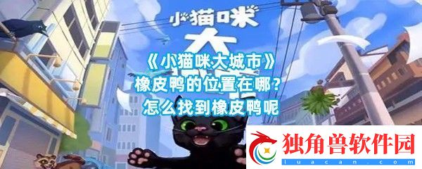小猫咪大城市橡皮鸭在哪里可以找到位置在哪呢