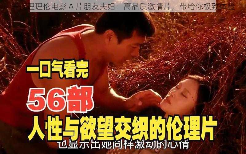 午夜理理伦电影 A 片朋友夫妇:高品质激情片,带给你极致体验
