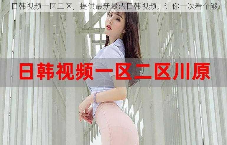 日韩视频一区二区，提供最新最热日韩视频，让你一次看个够
