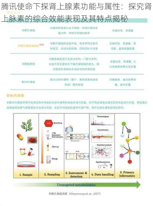 腾讯使命下探肾上腺素功能与属性：探究肾上脉素的综合效能表现及其特点揭秘