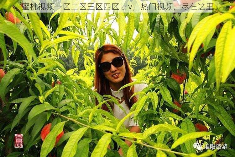蜜桃视频一区二区三区四区 a v，热门视频，尽在这里
