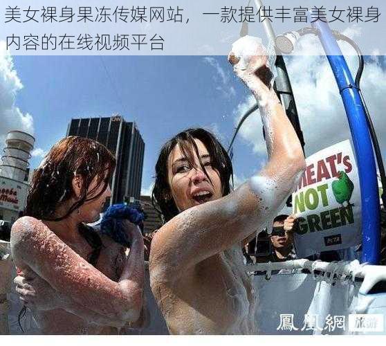 美女裸身果冻传媒网站，一款提供丰富美女裸身内容的在线视频平台