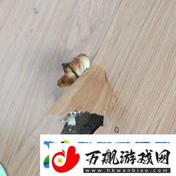 洞被弄大了过几天能变小吗-网友：这是一种心灵的回归