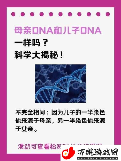 母亲-DNA-和儿子-DNA-一样不：探究亲子遗传的深层奥秘