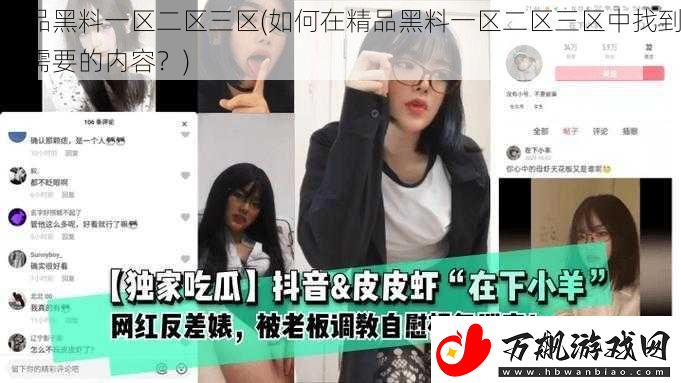 精品黑料一区二区三区