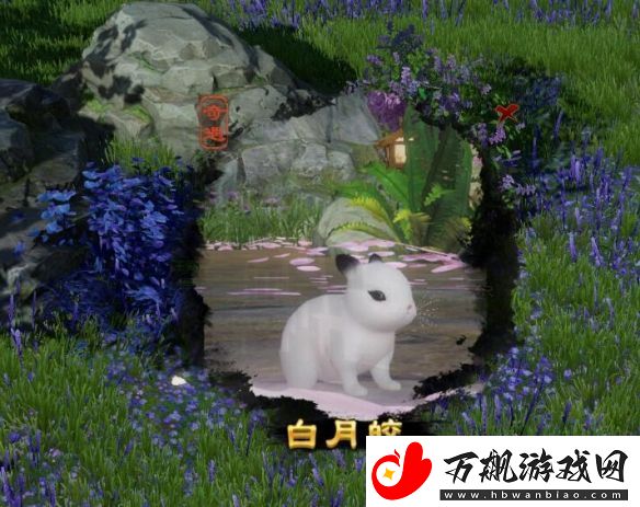 剑3白月皎宠物奇遇详细流程奖励一览
