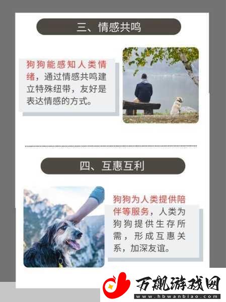 人物与动物交互-1.-人与狗的深厚情谊：忠诚伴侣的故事