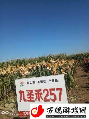 991-精产三产区区别首次亮相震撼登场