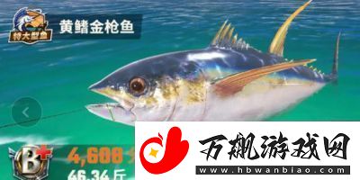探索T3版本欢乐钓鱼大师全新地图鱼类大揭秘鱼类图鉴大全