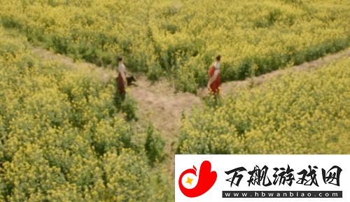 掌心采莲身死霓裳退出叶平安被埋复仇小分队遭散伙危机