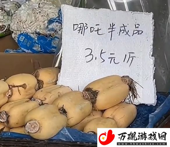 太乙真人严选