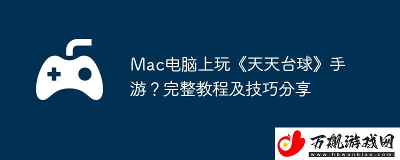 完整教程及技巧分享