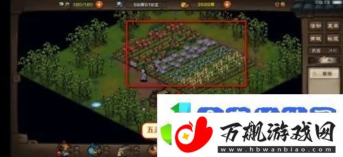 烟雨江湖五灵花怎么获得